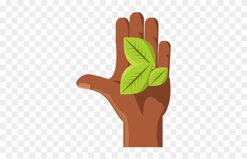 Leaves Eco Symbol Vector Illustration - Illustration #1266899