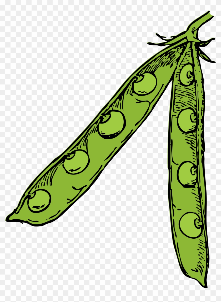 Free Vector Pea Pod Clip Art - Pea Pod Labeled #200706