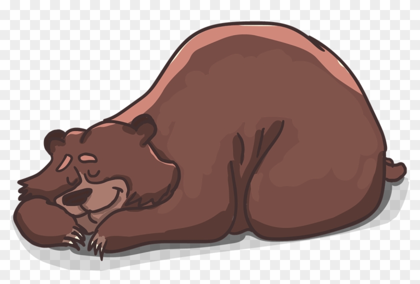 Bear Sleeping - Bär Schläft Clipart #201074