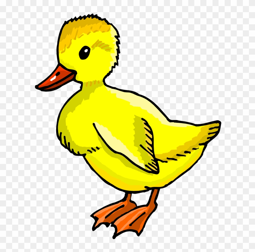Duckling - Little Ducks Clip Art #201127