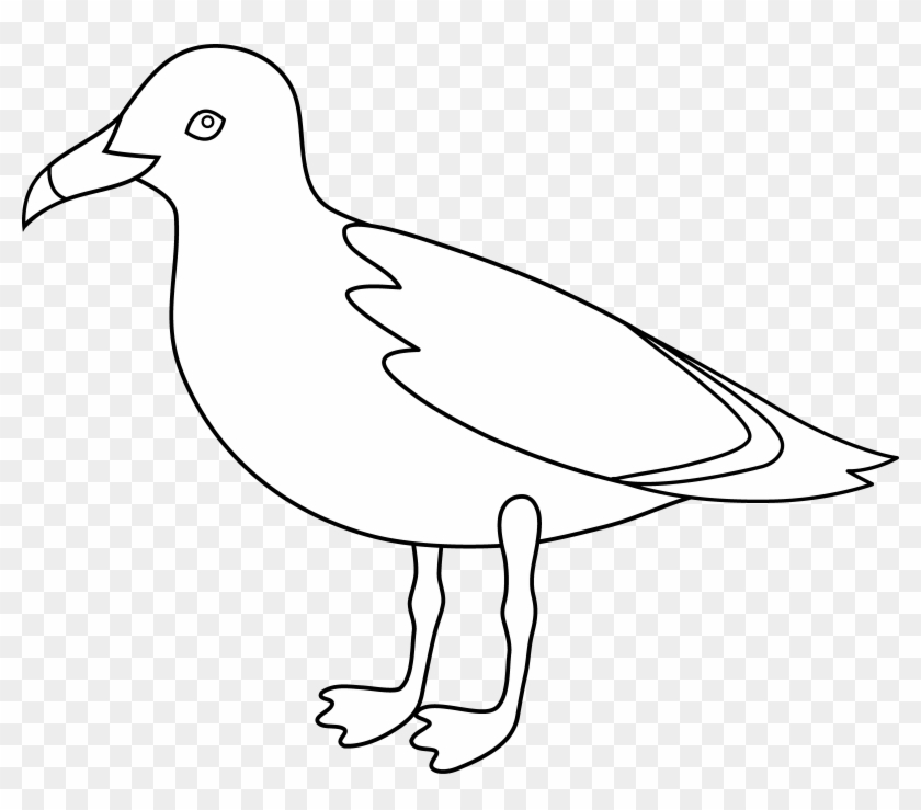 Seagull Line Art - Clip Art #201170
