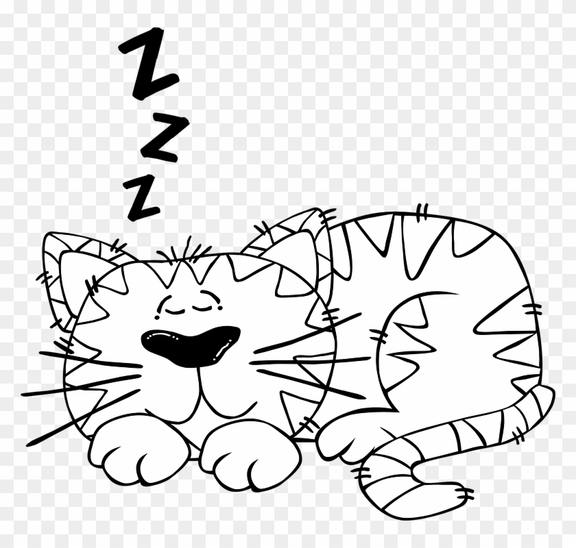 Free Vector Graphic - Sleeping Cartoon Black And White #201167