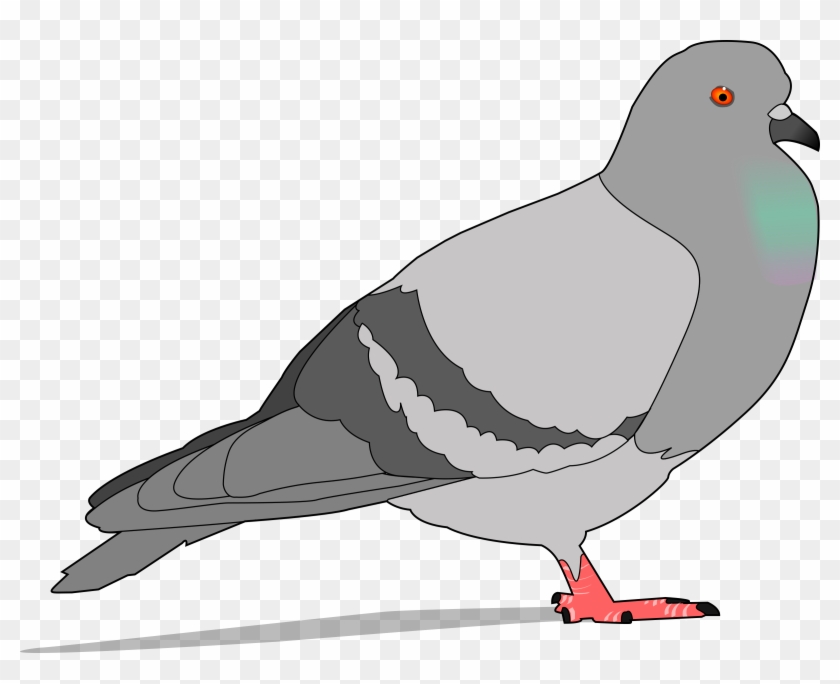 Pigeon Clip Art Free Vector / 4vector - Pigeon Clipart #201227
