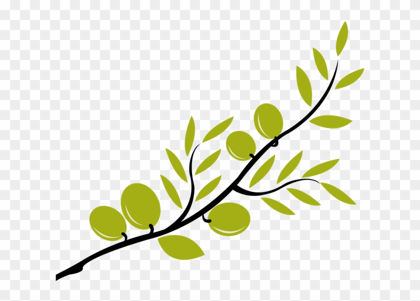 Olive Branch Clip Art #201386