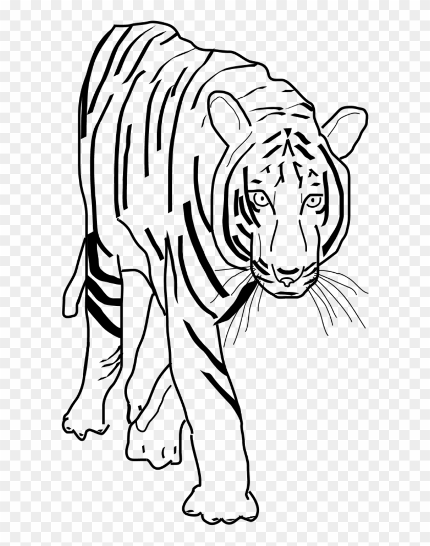 Vector Clip Art - Tiger Clipart Black And White Png #201445