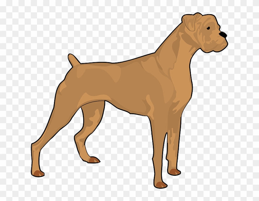 Boxer Dog Silhouette Clip Art Car Pictures - Boxer Dog Clipart Logo #201466