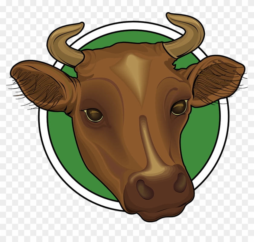 Cabeza De Vaca Png #201628