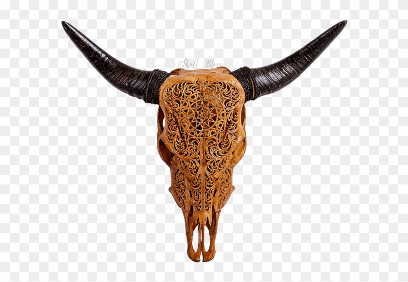 Carved Cow Skull // Xl Horns - Xl Horns #201648