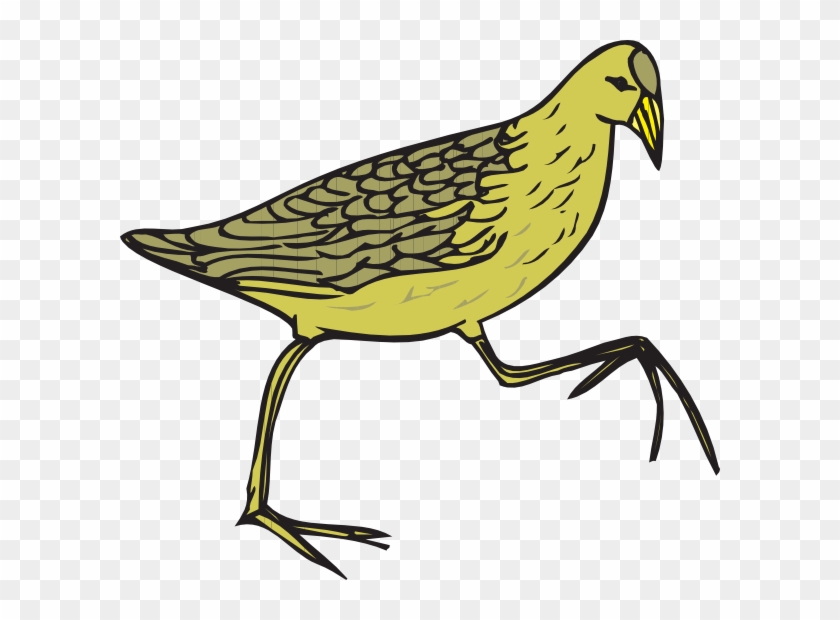 Quail Clipart Animated - Cartoon Feathers On Bird #201675