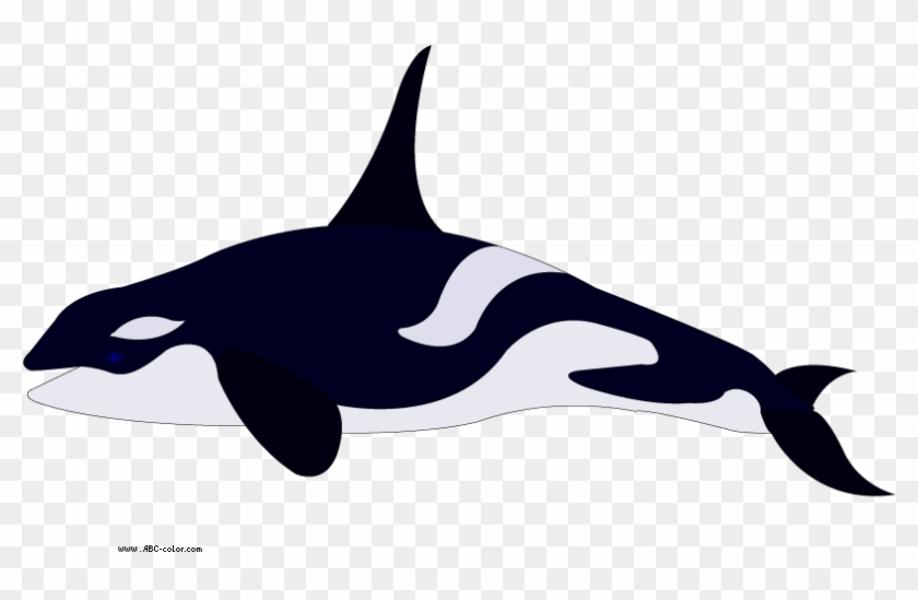 Download Bitmap Clipart Killer Whale - Killer Whale #201706
