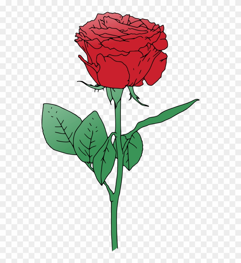Single Red Rose Clip Art - Rose Vector Png #201734