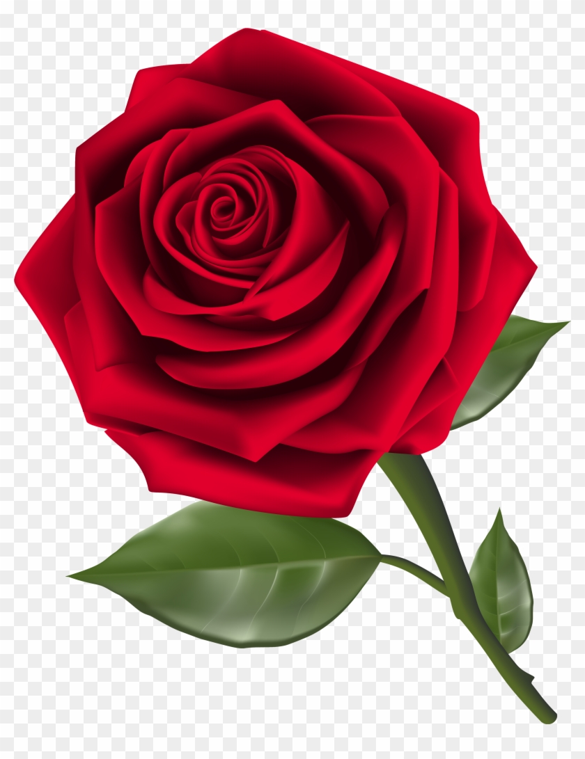 Beautiful Red Rose Png Clipart - Rose Clipart #201754