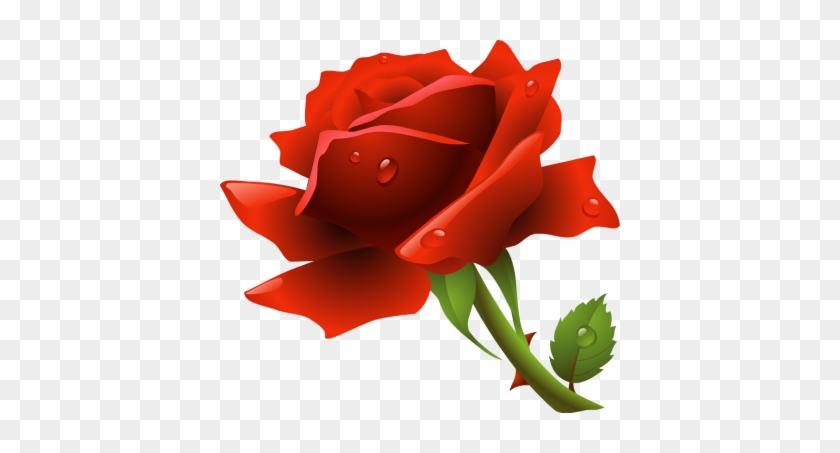Red Rose / Png - Red Rose Png #201911