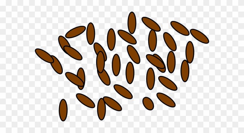 Totetude Brown Pellets Clip Art At Clker - Brown Rice Clipart Png #201996