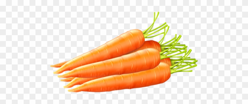 Clipart, Tube, Drinks, Food, Drink, Cocktails, Drinking, - Carrot #202066