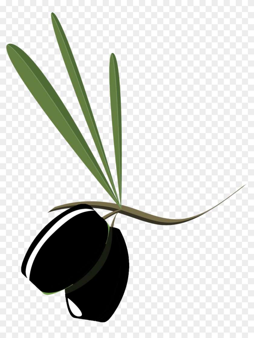 Olive Oil Clipart Massage - Olive Oil Clipart Massage #202197