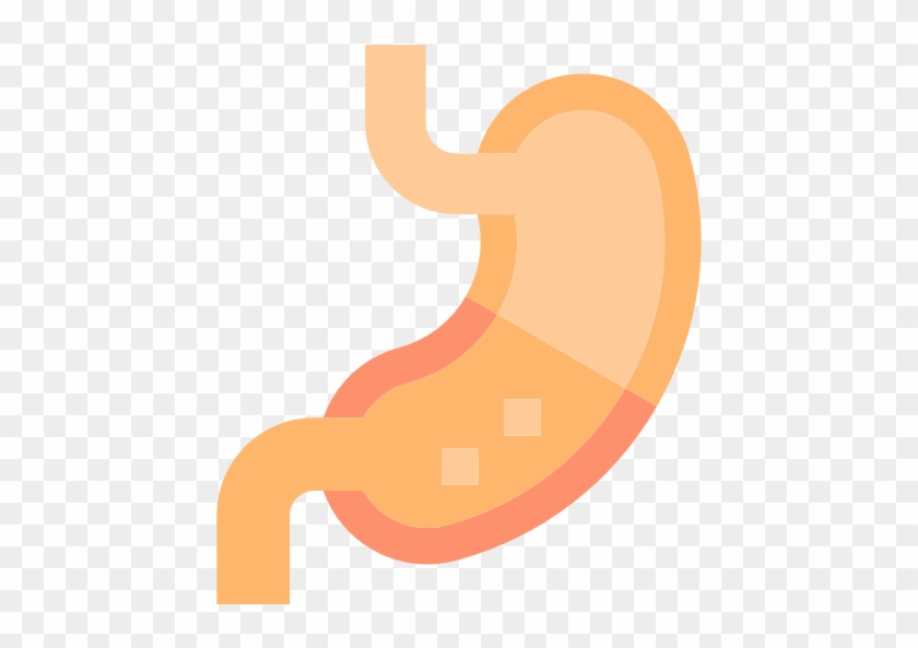 Vegetable Oil Intolerance - Stomach Png #202202