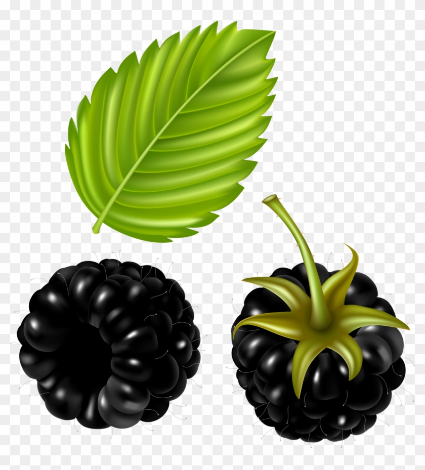 Fruit Clipartclip Art Items - Vector #202280