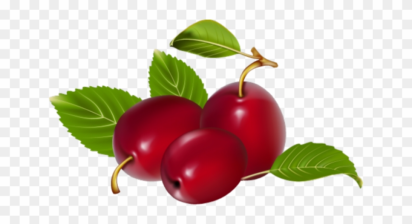 Great Clip Art Of Fruit - Vector #202332