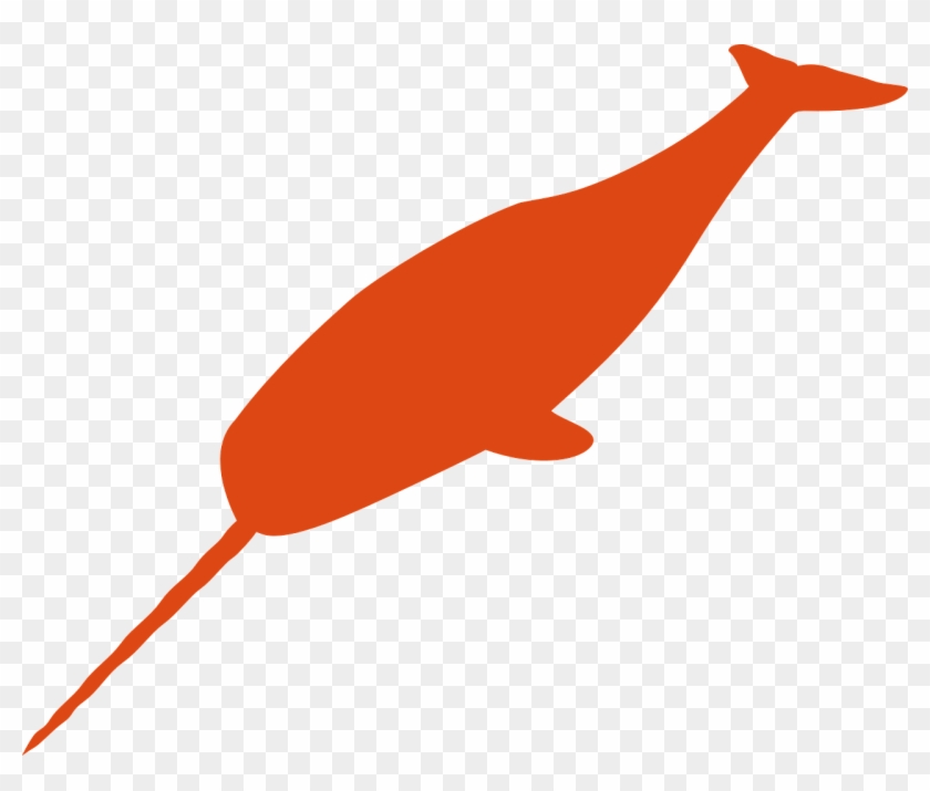 Orange Narwhals #202478