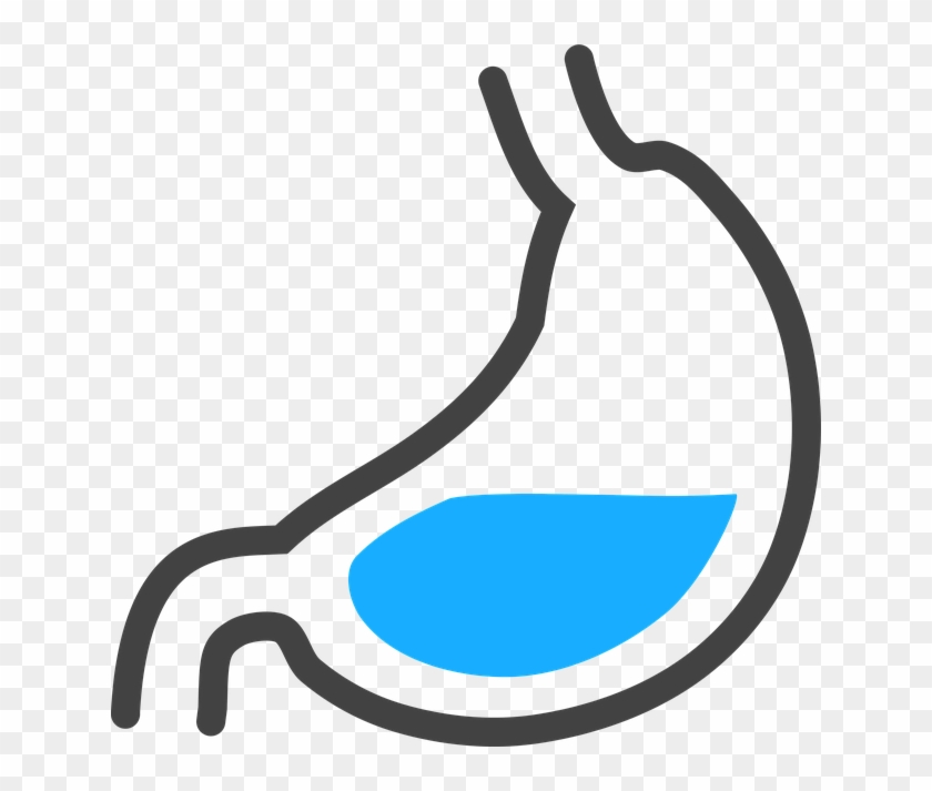 For Those On The Celiac Disease Whose Intestines Are - Stomach Acid Png #202722