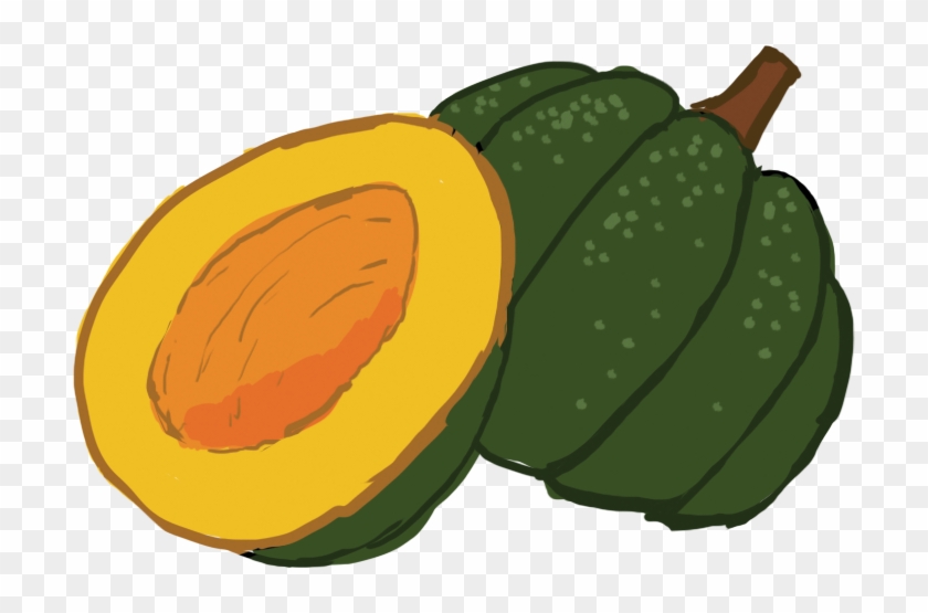 Calabaza Winter Squash Cucurbita Acorn Squash Clip - Calabaza Winter Squash Cucurbita Acorn Squash Clip #202822