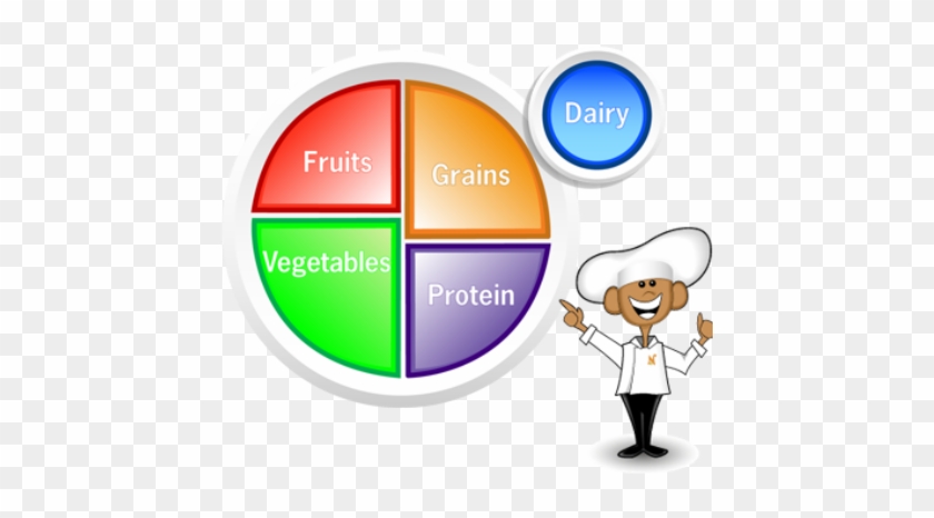 Choose Myplate Clipart - Healthy Food Groups Plate #202900