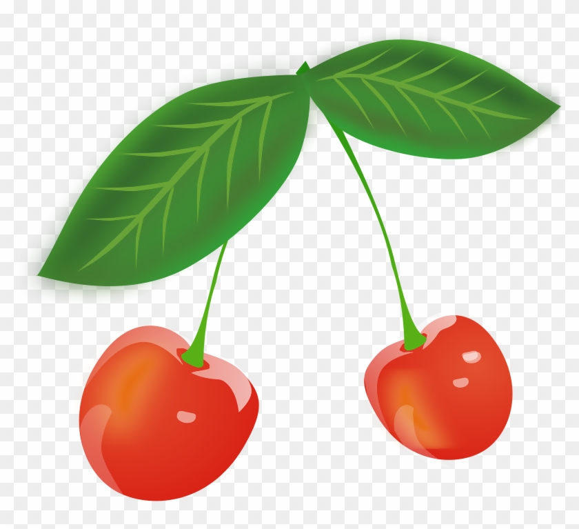 Sour Cherry Fruit Clip Art - Sour Cherry Fruit Clip Art #202910