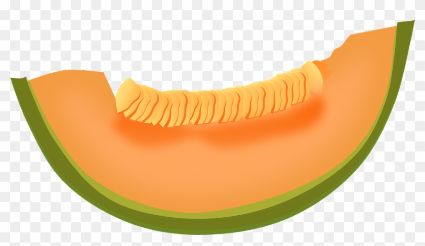 Melon Clipart Transparent Food - Cantaloupe Clipart #203036
