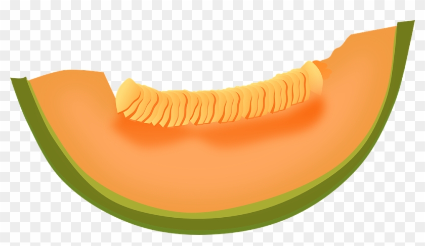 clipart cantaloupe