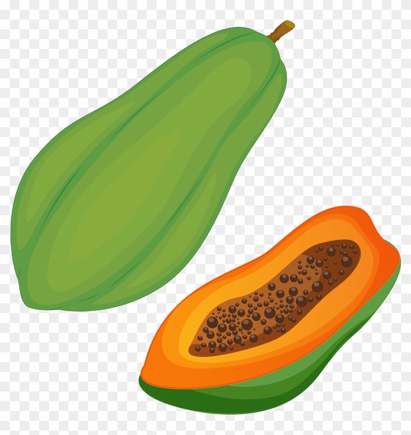 Papaya Pawpaw Clip Art - Papaya Clipart #203053