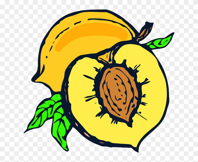 Plant Food, Fruit, Yellow, Cartoon, Free, Peach, Plant - Peach Clip Art #203149