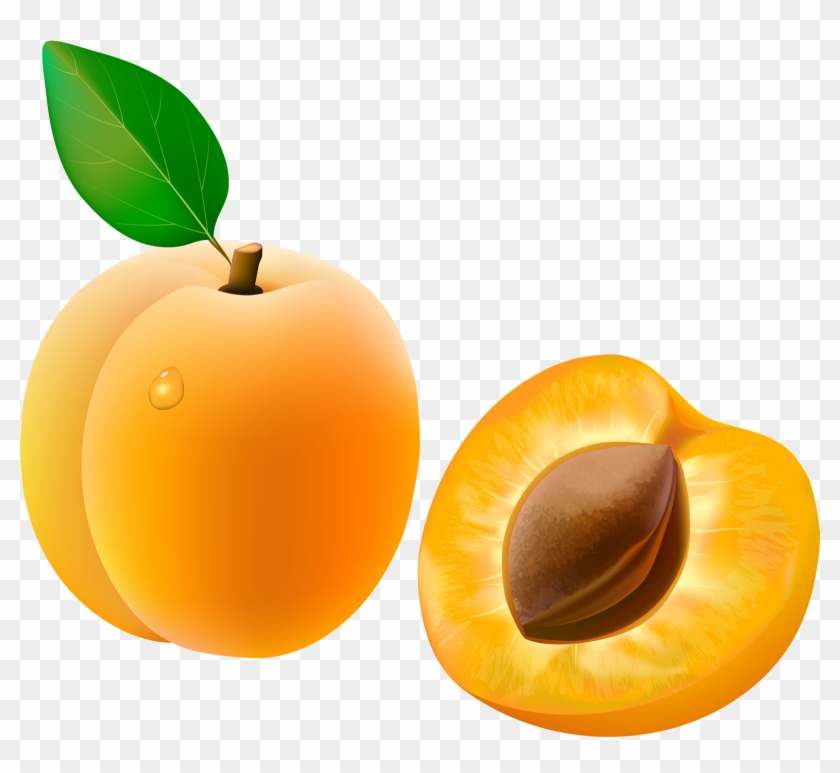Food Clipartclip - Clip Art Apricot #203177