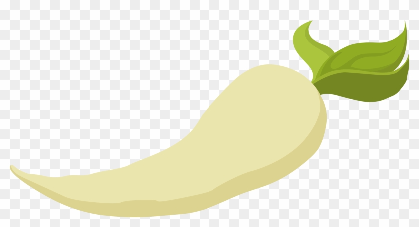 Food Parsnip - Scalable Vector Graphics #203188