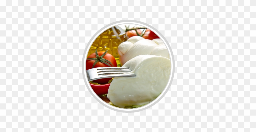 Buffalo's Cheese - Mozzarella Di Bufala Campania #203226