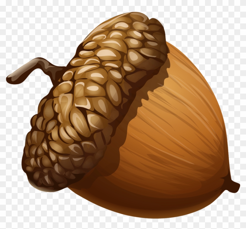 Acorn Clipart 1 Nice Clip Art - Acorn Png #203342