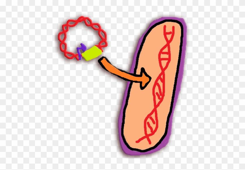 We Identified Spoiled Meat Sensors By Transcriptome - We Identified Spoiled Meat Sensors By Transcriptome #203361