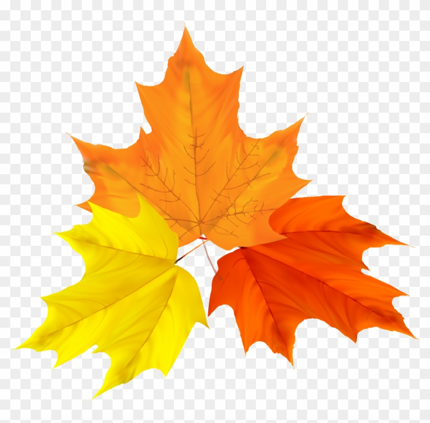 Stock Illustration Royalty Free Clip Art Colorful Autumn - Stock Illustration Royalty Free Clip Art Colorful Autumn #203981