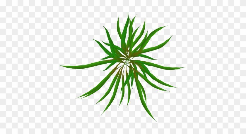 Sea Grass Clipart Animated Gif - Moving Animations Of Plants #1268212