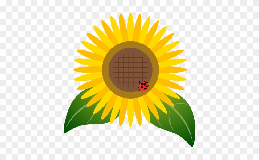 For Download Free Image - Sunflower Clipart #1268581