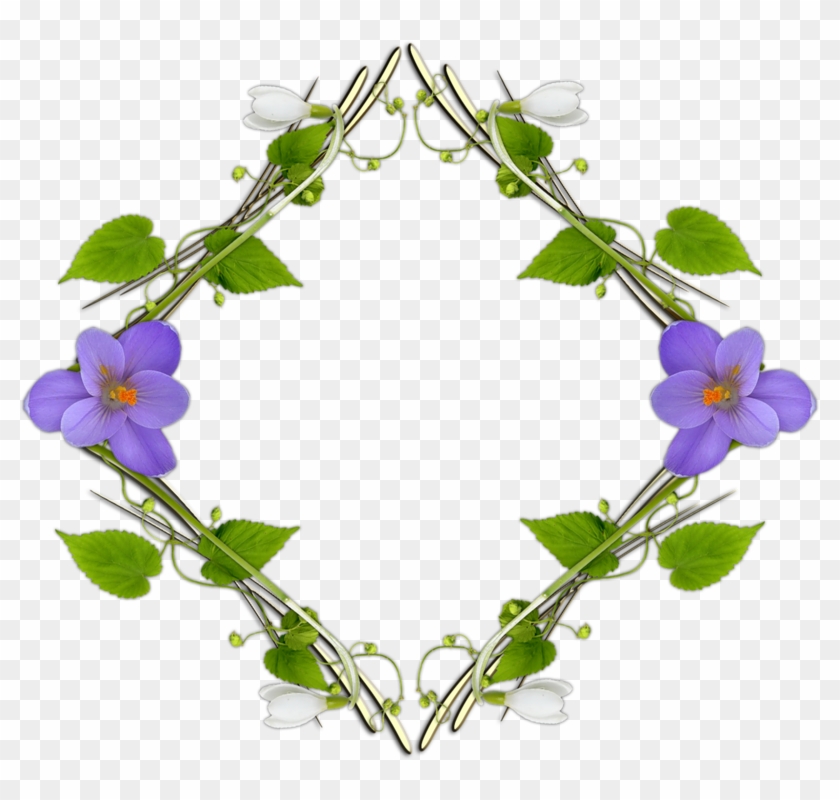 Violets Frames - Viola #1268594