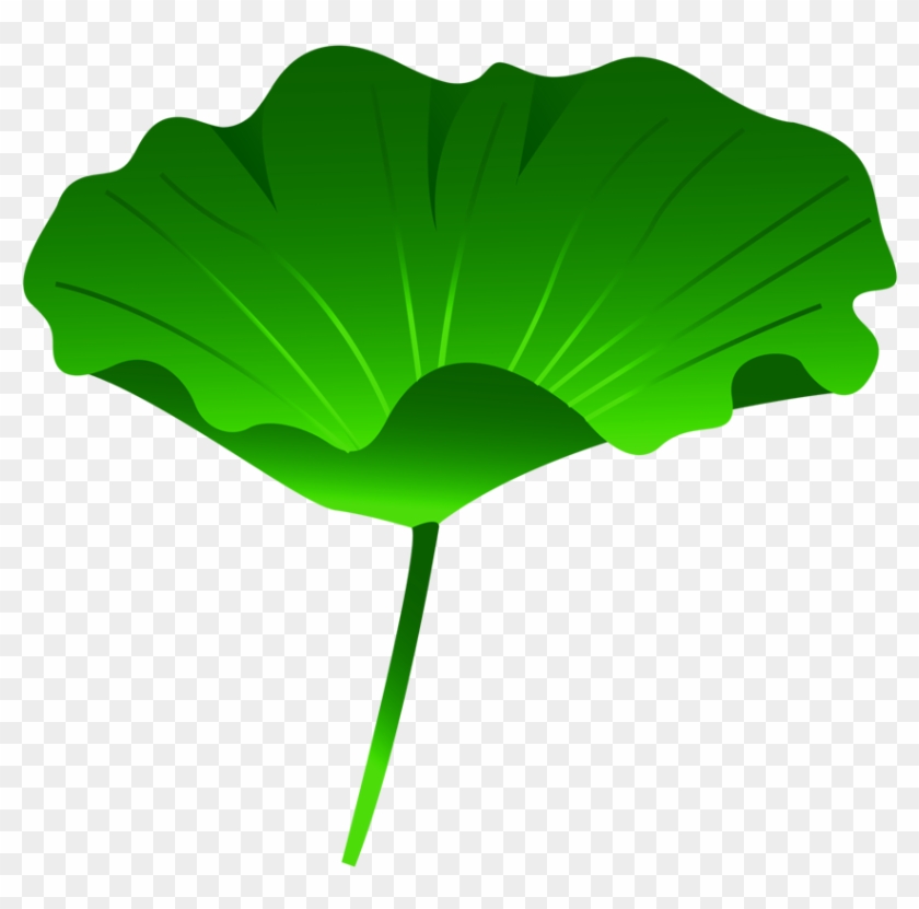 Leaf Nelumbo Nucifera Lotus Effect - Lotus Effect #1268615