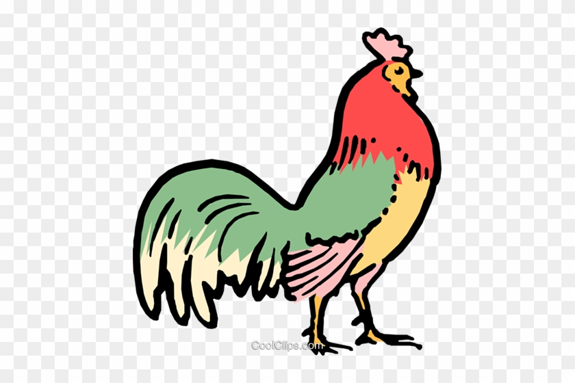 Cartoon Rooster Royalty Free Vector Clip Art Illustration - Dessin D Animaux De La Ferme En Couleur #1268970