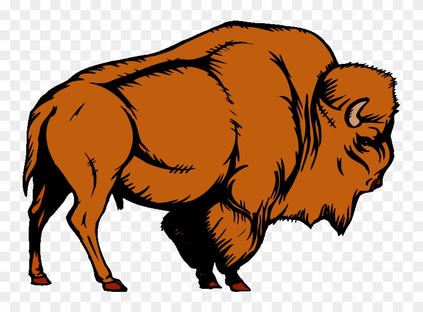 Water Buffalo Clipart Bison - Buffalo Clipart #1269011