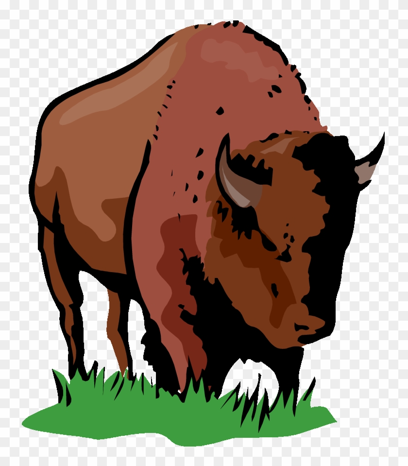 Bison Clipart Buffalo - Clipart Bison #1269012
