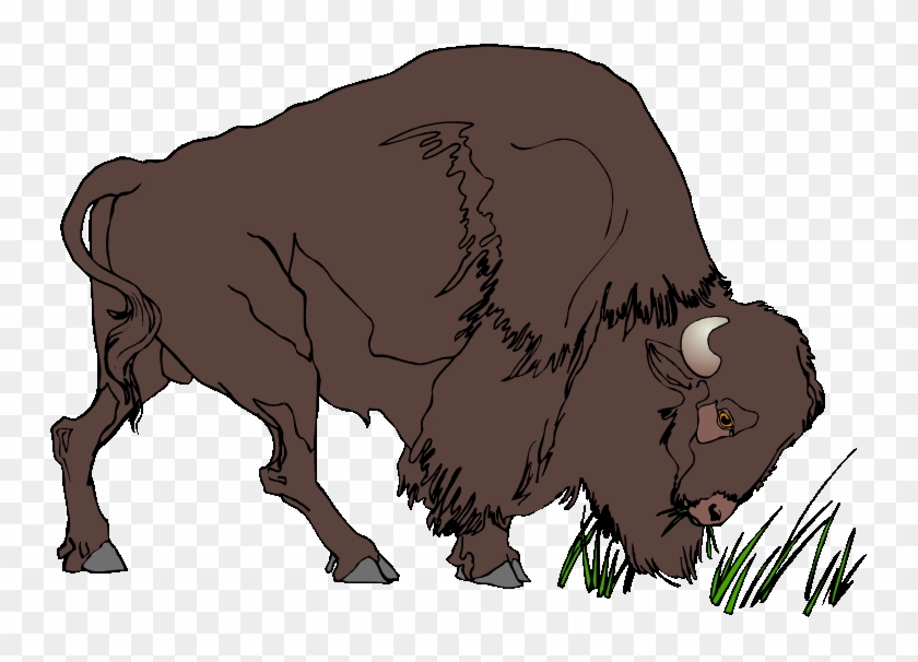 Bison Clipart Buffalo - Clipart Bison #1269016