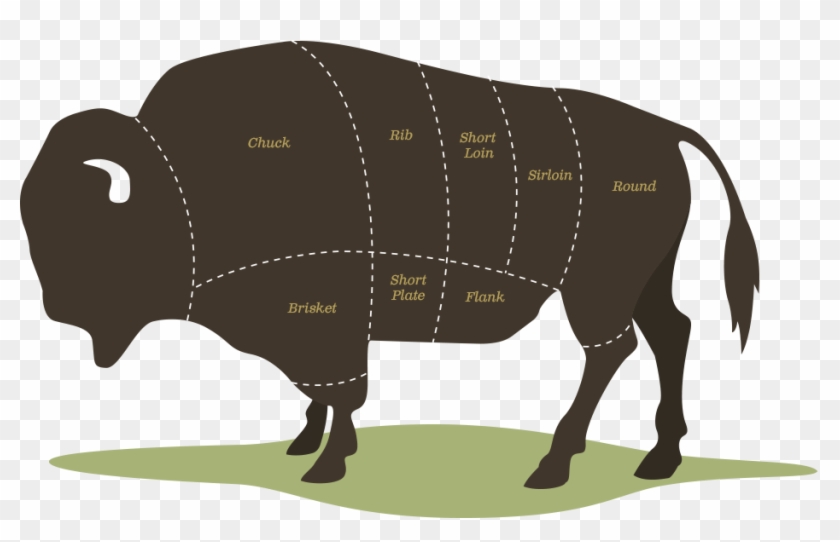 Illustration Of A Bison With Diagrammed Cuts - Bison Cuts #1269030