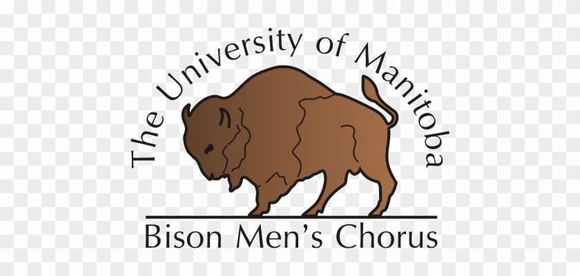Bison Men's Chorus #1269045