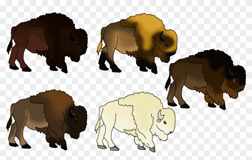 Bison Herd By J4-coltrain - Bison #1269054
