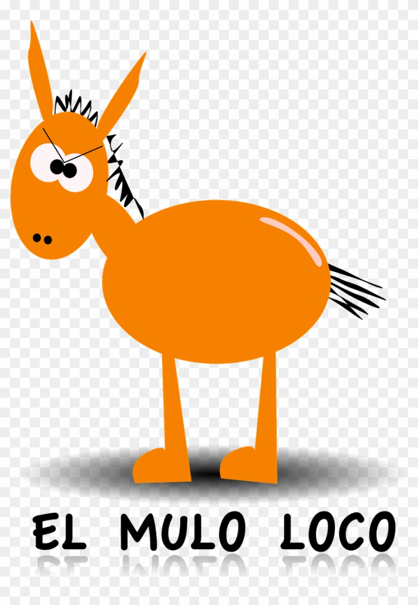 Donkey Funny Fat Farm Animal Png Image - Donkey Clip Art #1269062